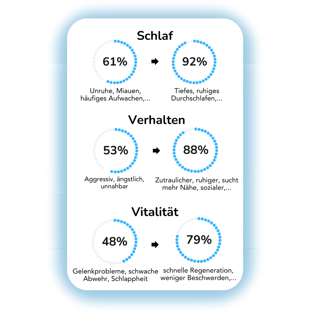 Wildroot Grounding  Matte™
